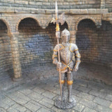 Knight with halberd close up