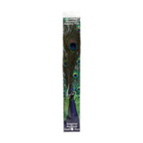 Peacock Feather Quills - Packaged Peacock Ballpoint Pen