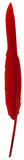 Goose Quills Ballpoint Pen - Choice of Colours (BULK BUY AVAILABLE)