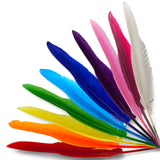 Goose Quills Ballpoint Pen - Choice of Colours (BULK BUY AVAILABLE)